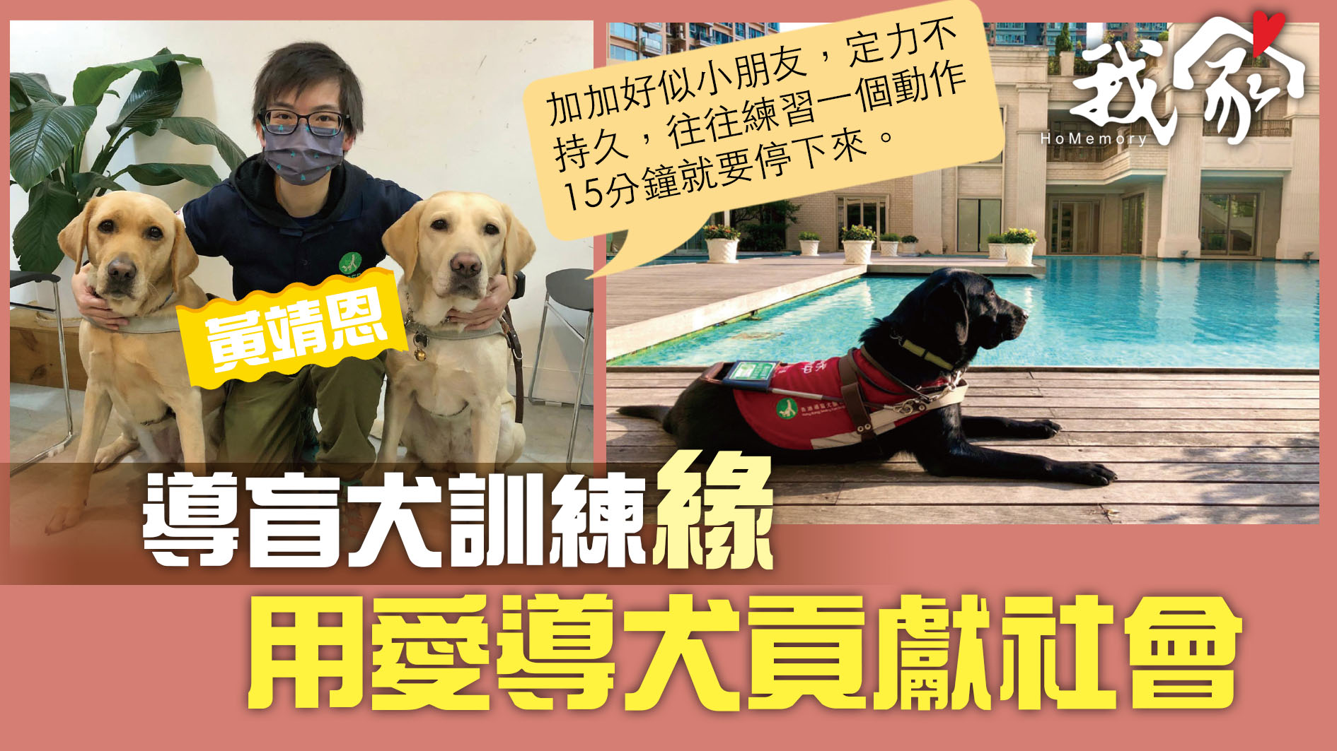 (大埔北區)導盲犬訓練緣  用愛導犬貢獻社會